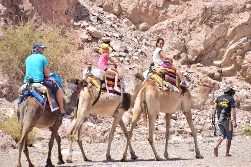 camel ranch students (1)