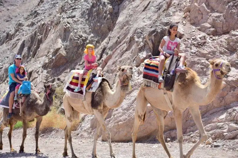 camel ranch students (2)