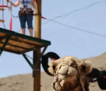 camel ranch students (22)