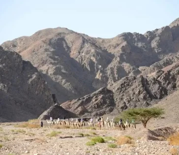 camel ranch students (6)