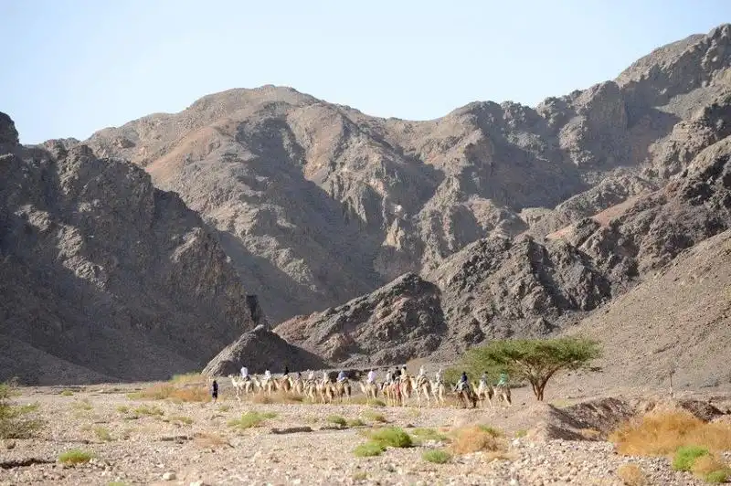 camel ranch students (6)