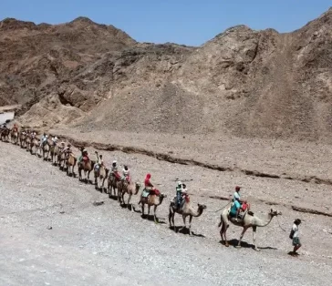 camel rides (9)